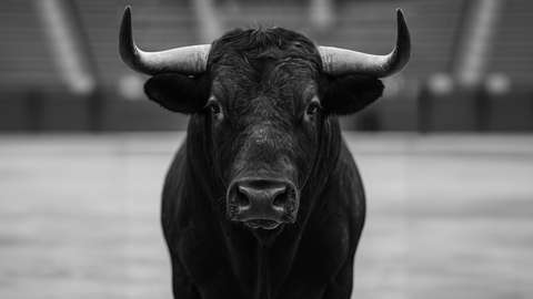 It seems incredible that in supposedly advanced societies animal torture is a spectacle of enjoyment. It seems incredible that in supposedly advanced societies animal torture is a spectacle of enjoyment.