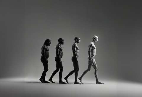The arc of human evolution toward the transhuman. The arc of human evolution toward the transhuman.